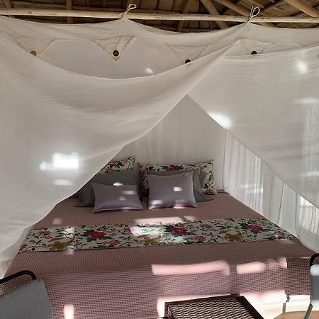 Studio El Quiosco Avec Jacuzzi 拉斯特拉纳斯 外观 照片